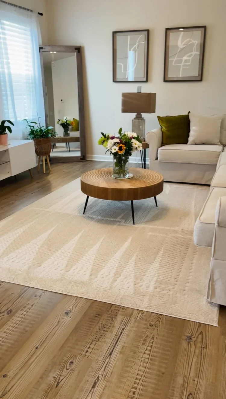 Move-in / move-out cleaning